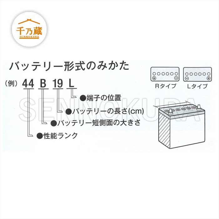 建機バッテリー/RKSS 50B19/R メンテナンスフリータイプ / 建設機械部品販売サイト 千乃蔵(せんのくら)